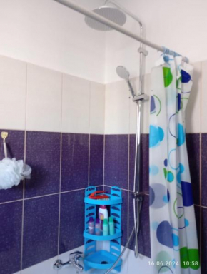 Apartament Dedal